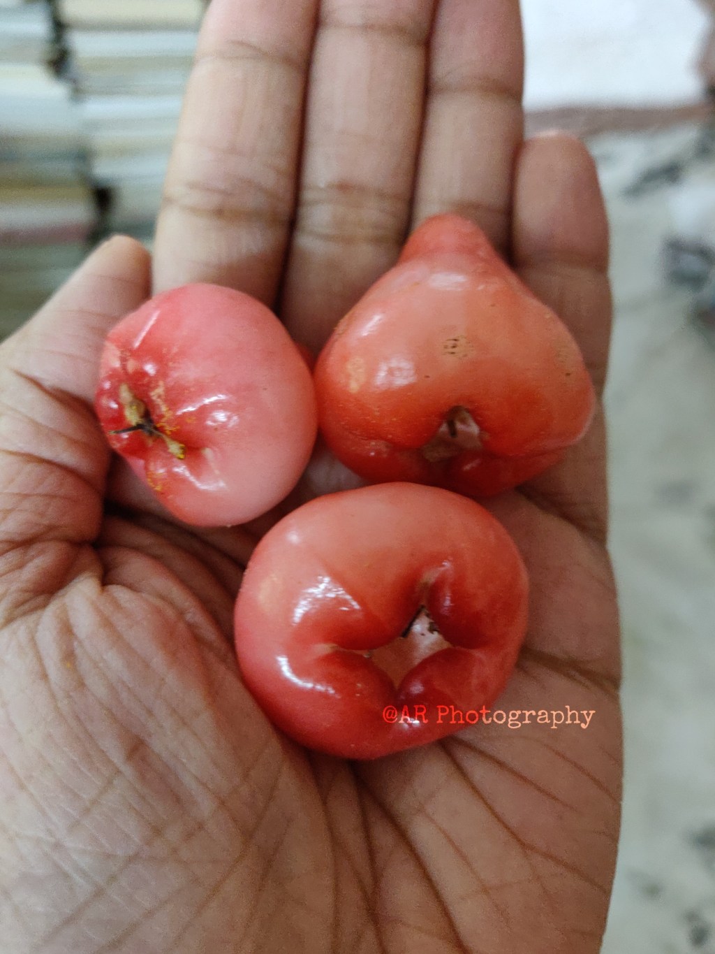 Fruity Summer Vacation&nbsp;Memories