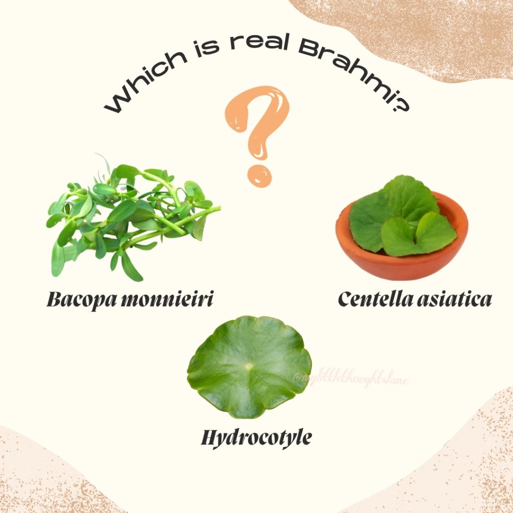 Which is the real Brahmi?