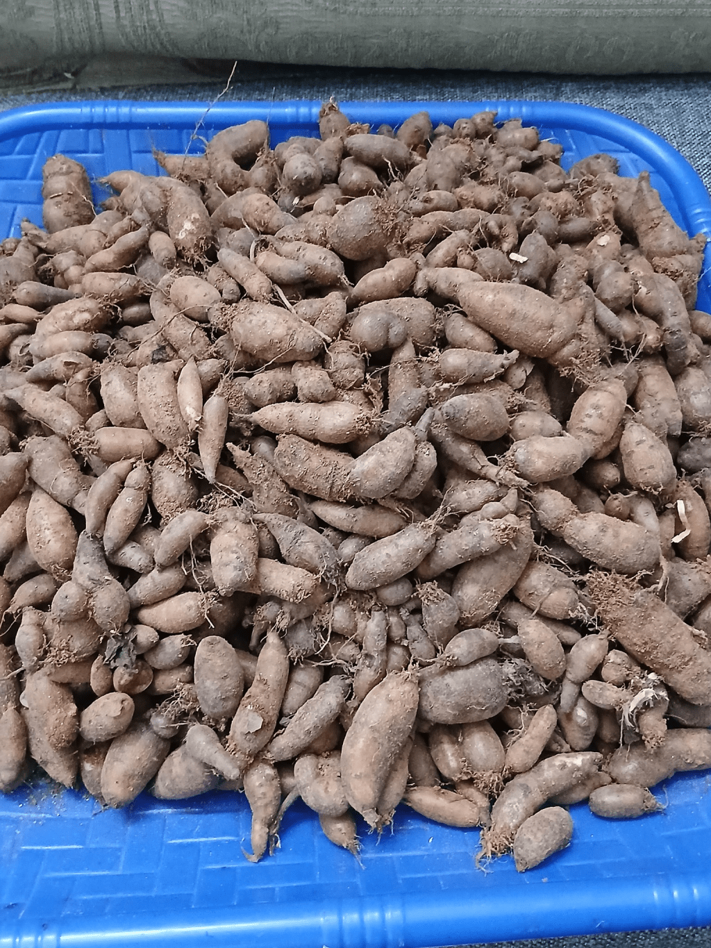 Rooted in Nutrition Series 8: Chinese&nbsp;Potato