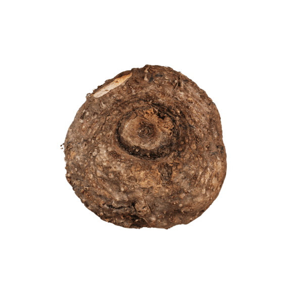 Rooted in Nutrition Series 7: Elephant Foot&nbsp;Yam