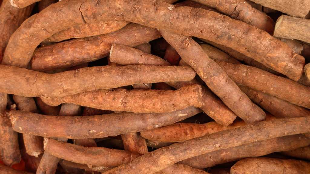 Rooted in Nutrition Series 13 : Lesser Known&nbsp;Tubers